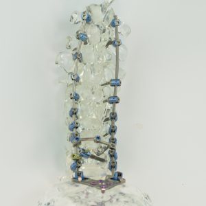 spine models