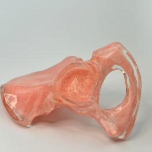 Biomechanical hip bone