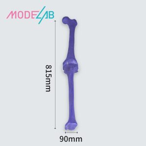 Scanning simulated femur