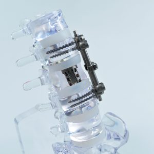 Clear Bone Models-Sacrum