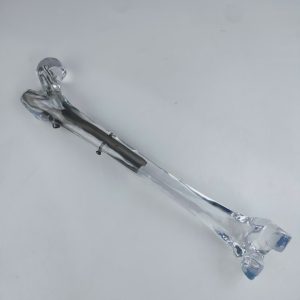 Femur Trauma Clear Bones